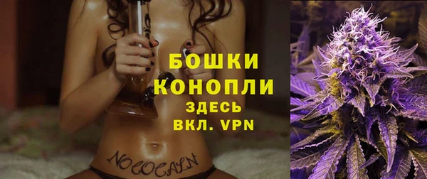 твердый Няндома